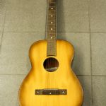 899 6394 GUITAR